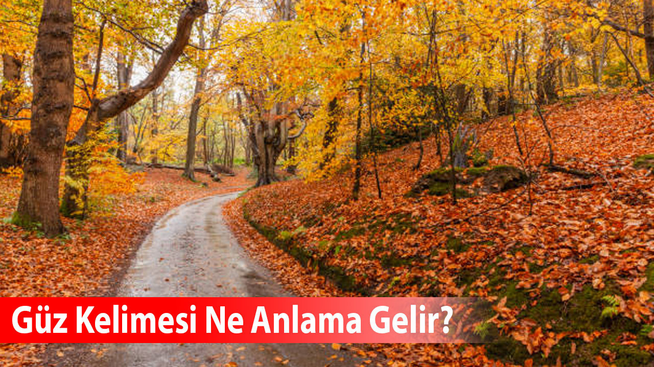 Güz Kelimesi Ne Anlama Gelir? Eş Anlamlısı Nedir?