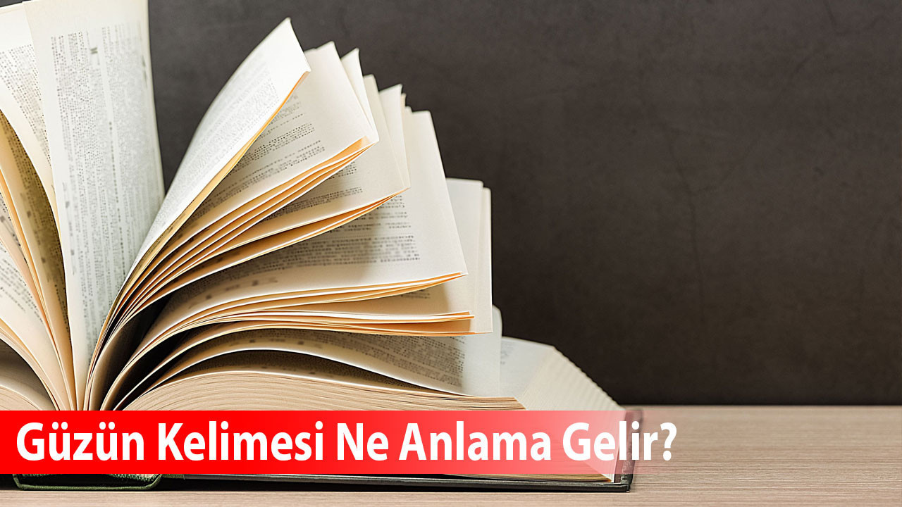 Güzün Kelimesi Ne Anlama Gelir? Eş Anlamlısı Nedir?