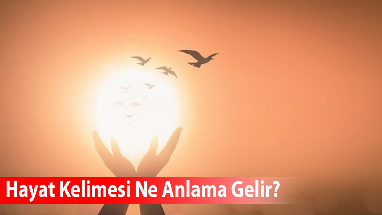 Hayat Kelimesi Ne Anlama Gelir? Eş Anlamlısı Nedir?