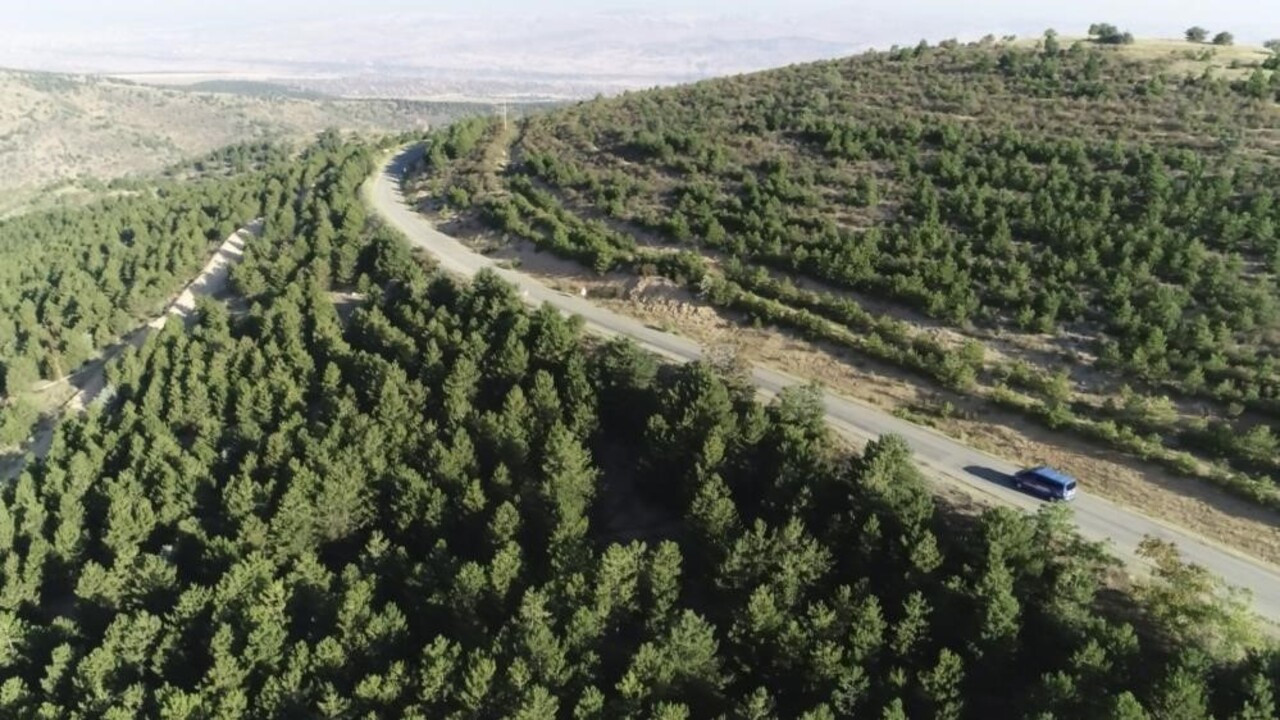 Kırıkkale'de 5 ay boyunca ormanlara giriş yasak