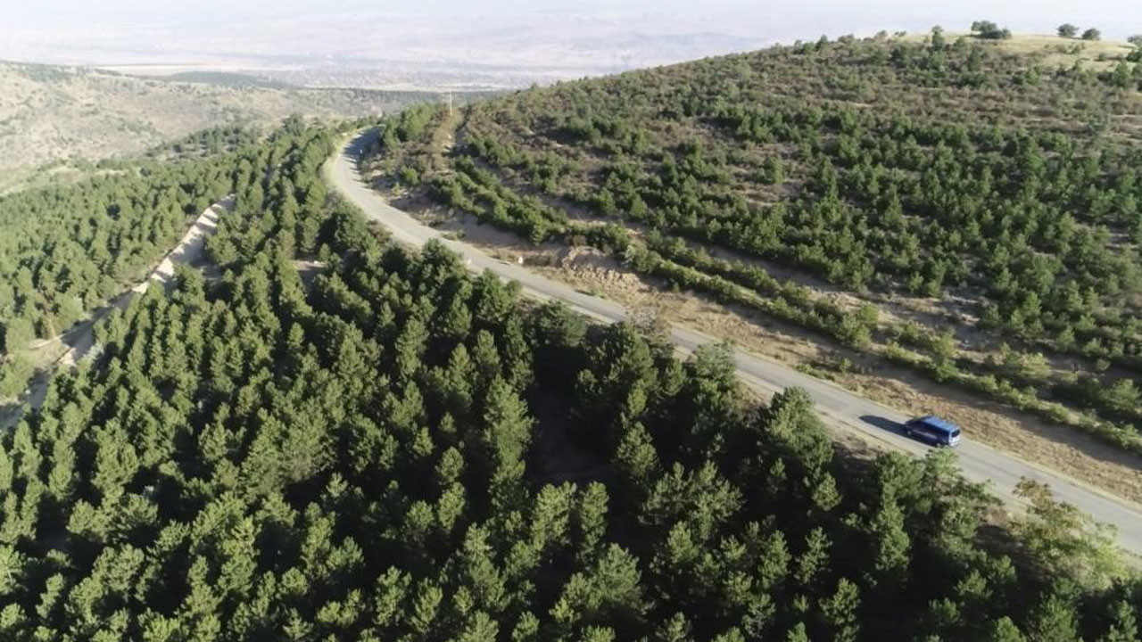 Kırıkkale Valiliği, 5 ay boyunca ormanlara girişi yasakladı