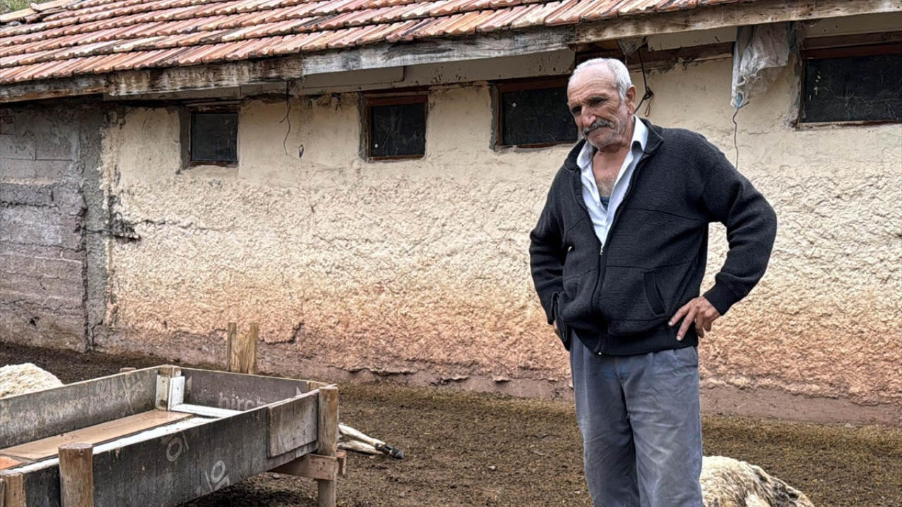 Kırıkkale'de 18 küçükbaş hayvan telef oldu!