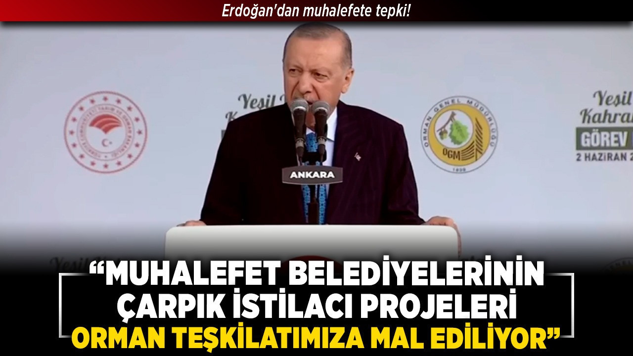 Erdoğan'dan muhalefete tepki! "Muhalefet belediyelerinin çarpık, istilacı projeleri orman teşkilatımıza mal ediliyor"