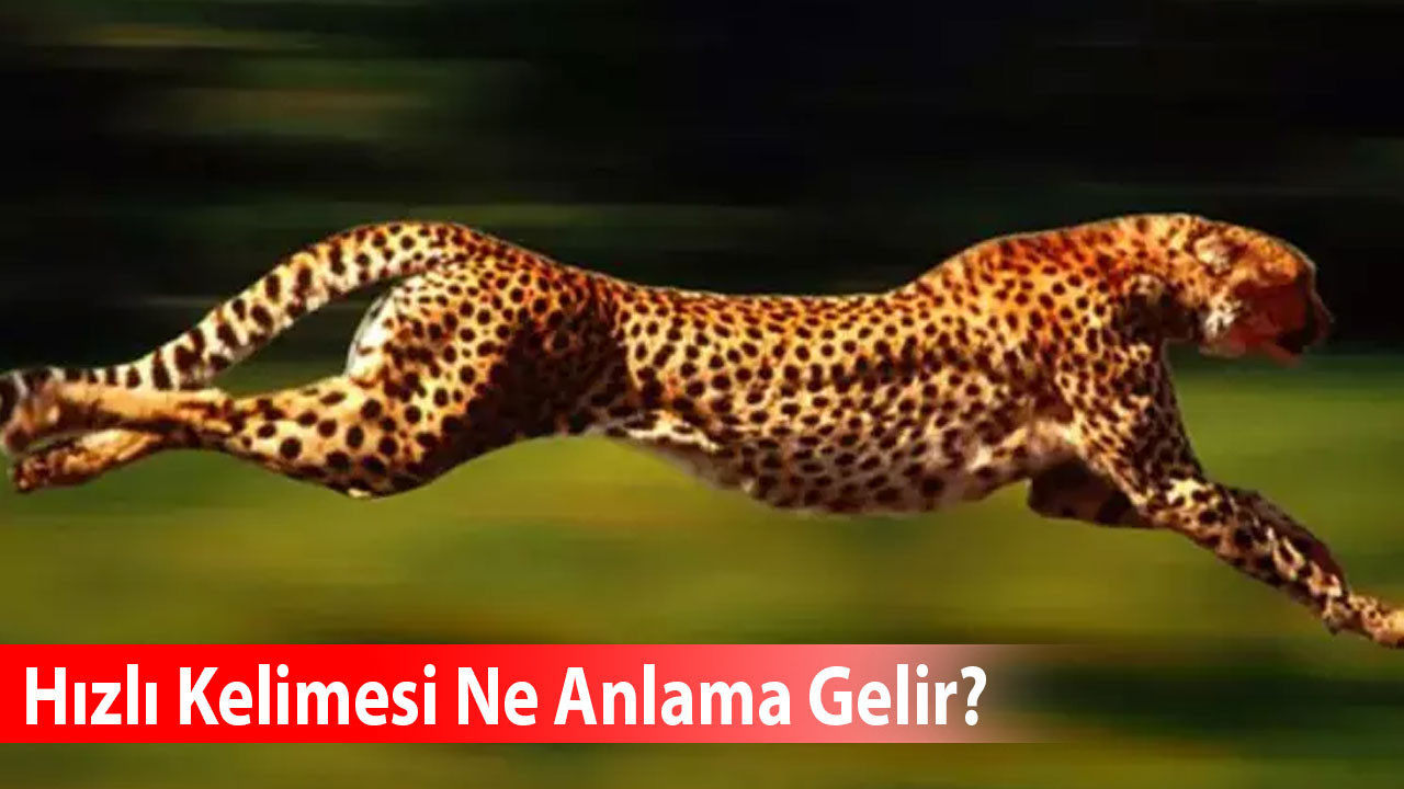 Hızlı Kelimesi Ne Anlama Gelir? Eş Anlamlısı Nedir?