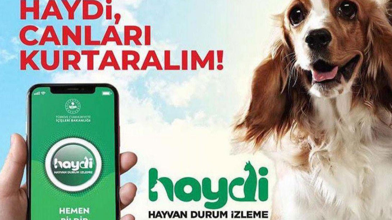 HAYDİ uygulaması nedir, nasıl kullanılır?