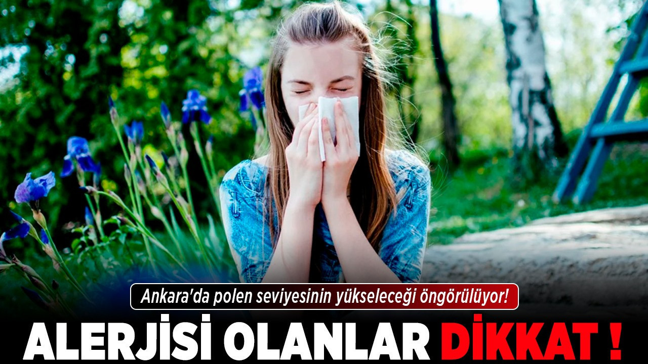 Alerjisi olanlar dikkat! Ankara'da polen seviyesinin yükseleceği öngörülüyor!