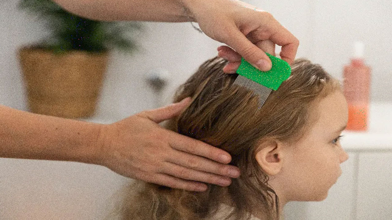 Okulda bit bulaşmaması için ne yapılmalı? Bit hangi kokulara gelmez?