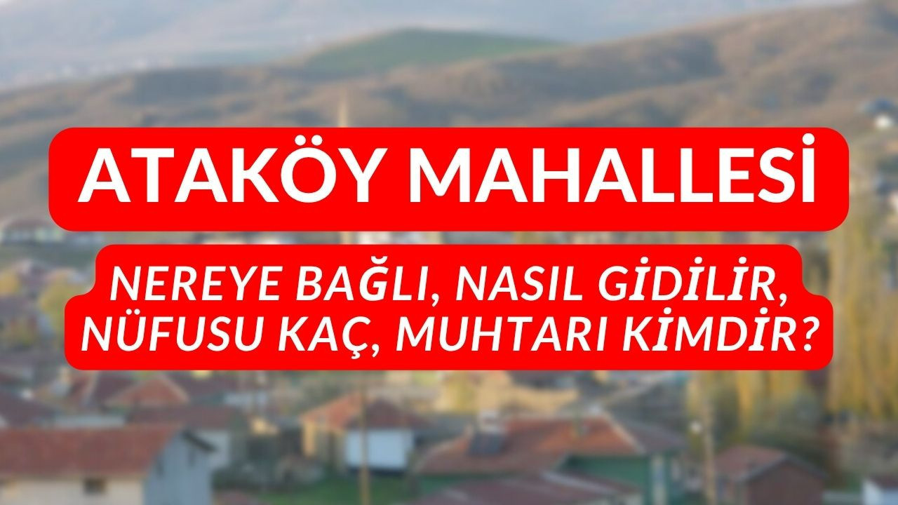 Ataköy Mahallesi nereye bağlı, nasıl gidilir, nüfusu kaç, muhtarı kimdir?