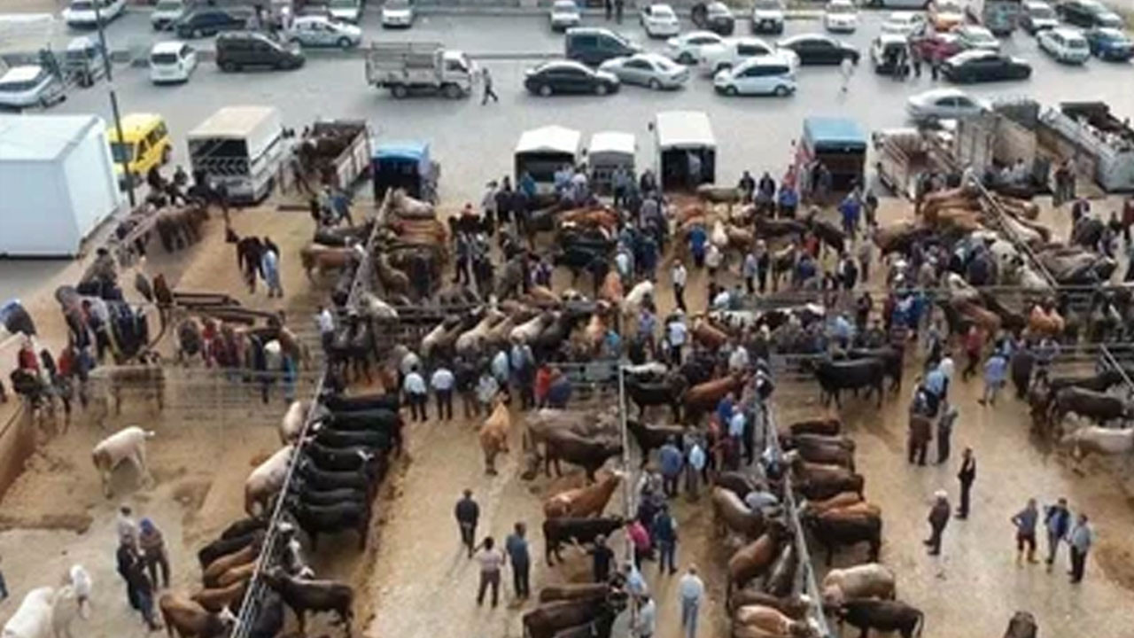 Çubuk kurban pazarında bayram hareketliliği havadan görüntülendi