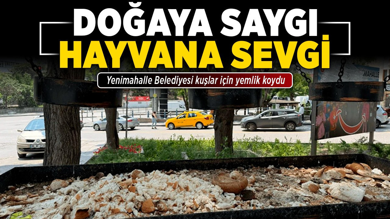 Doğaya saygı, hayvana sevgi: Yenimahalle Belediyesi kuşlar için yemlik koydu