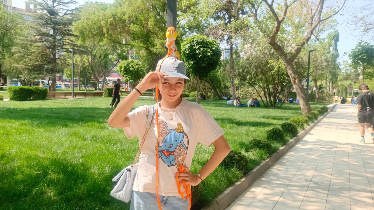 Kızılay’ın renkli sürprizi: Dans eden papağan Alvin!