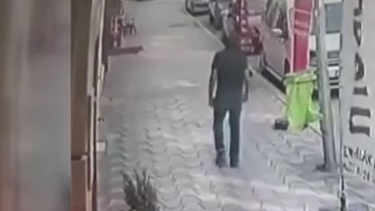 Ankara’da “kediye şiddet” iddiası asılsız çıktı: Linç edilen vatandaş aklandı