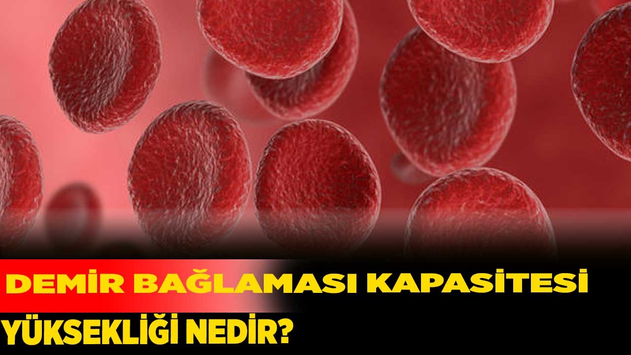 Demir bağlaması kapasitesi yüksekliği nedir?