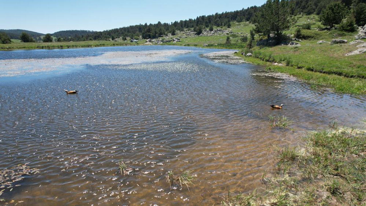 Kızılcahamam yaylaları bayramda da tatilcilerin gözdesi oldu