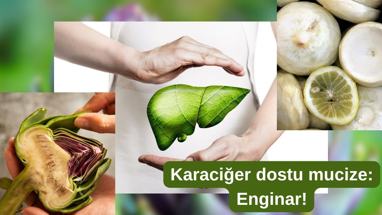 Karaciğer dostu mucize: Enginarı nasıl tüketmeliyiz?
