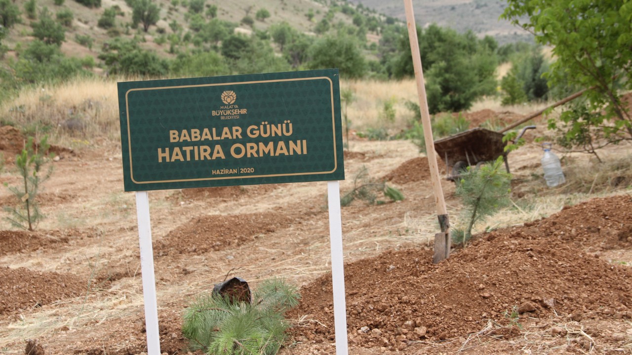Tarım ve Orman Bakanlığından Babalar Günü'ne özel doğa kampı