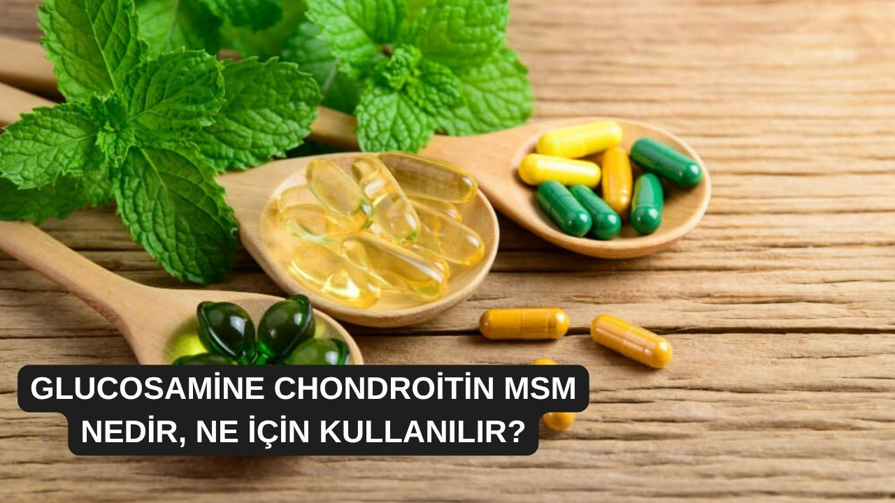 Glucosamine Chondroitin Msm nedir, ne için kullanılır?