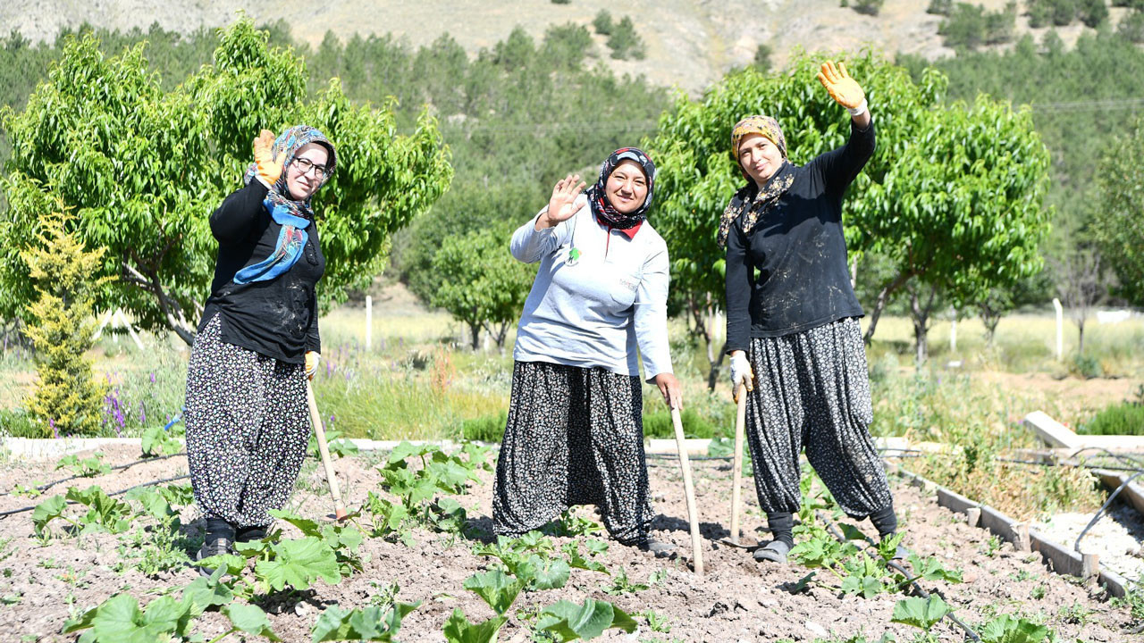Mamak Belediyesinden kırsala üretim hamlesi