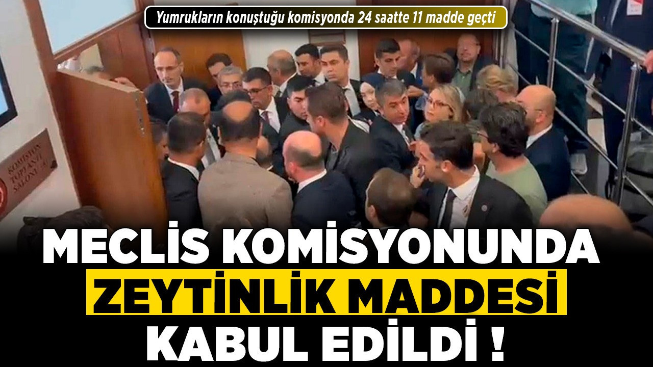 Meclis Komisyonunda zeytinlik maddesi kabul edildi! Yumrukların konuştuğu komisyonda 24 saatte 11 madde geçti