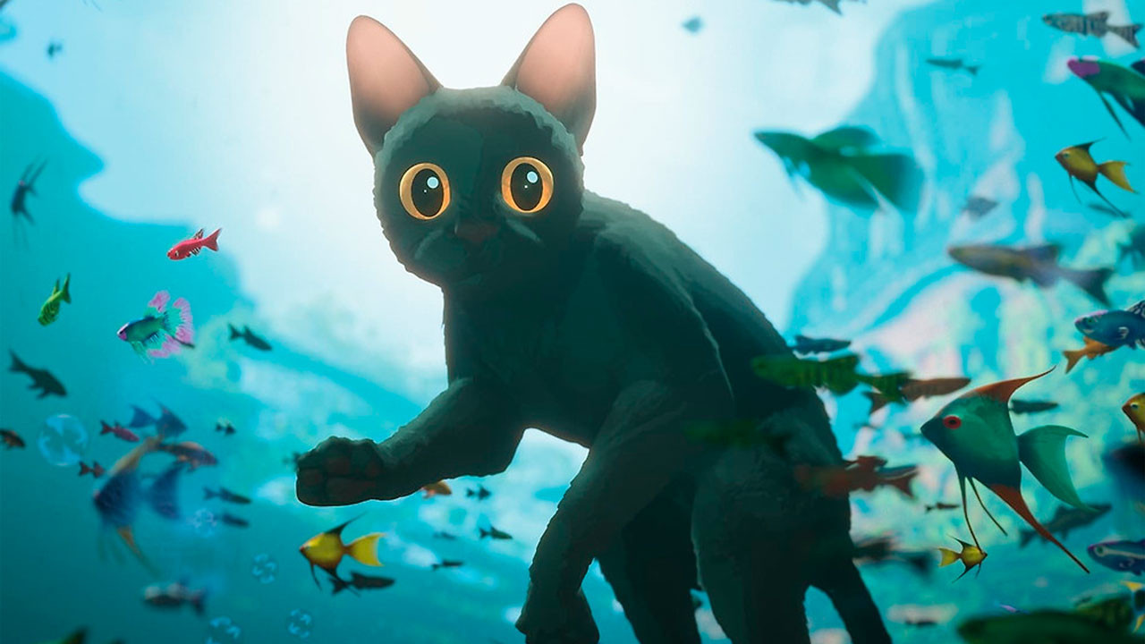 2025 Oscar En İyi Animasyon Filmi Ödüllü, Flow: Bir Kedinin Yolculuğu’nun sıradaki durağı Ankara