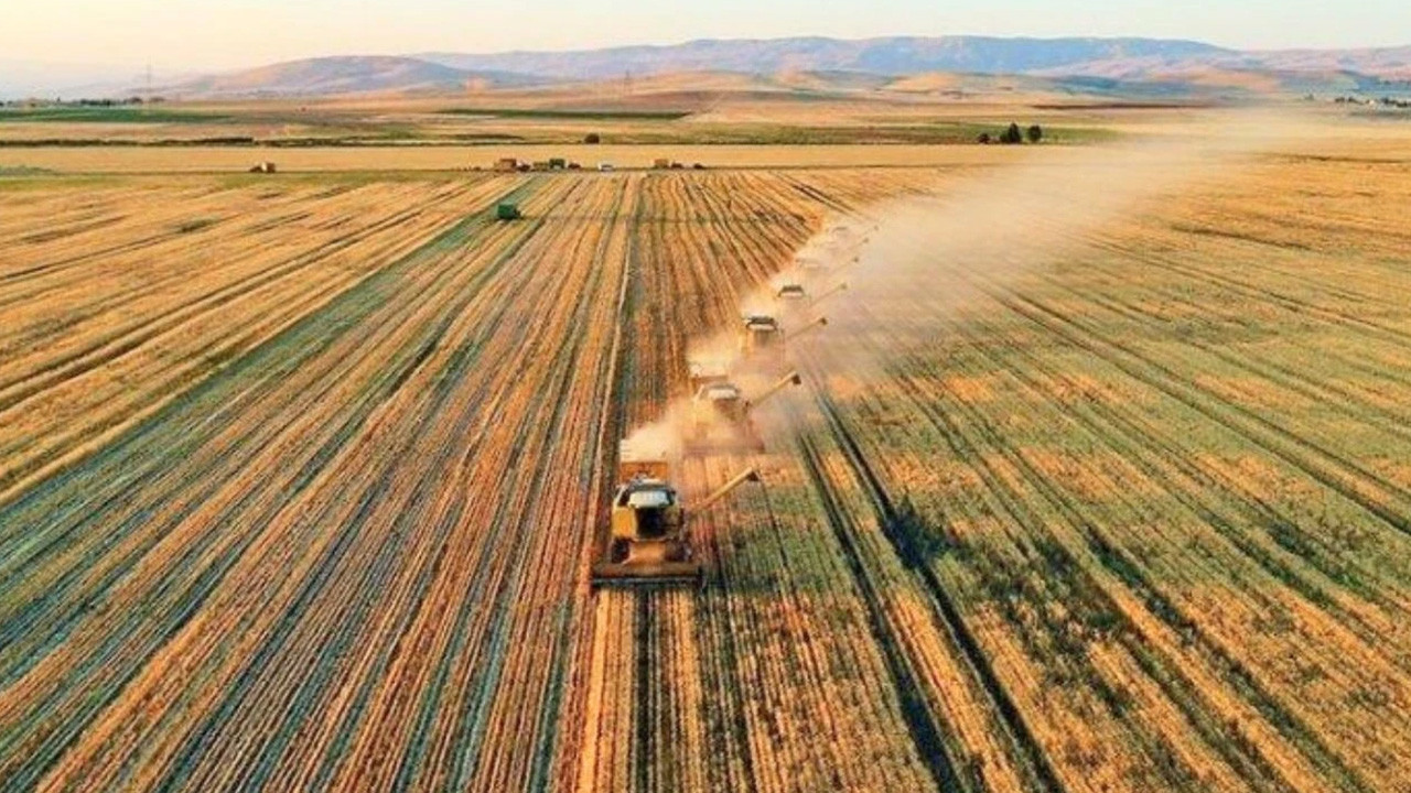 Kırşehir'de tarım ve kırsal kalkınmaya 87,2 milyon TL’lik dev destek!