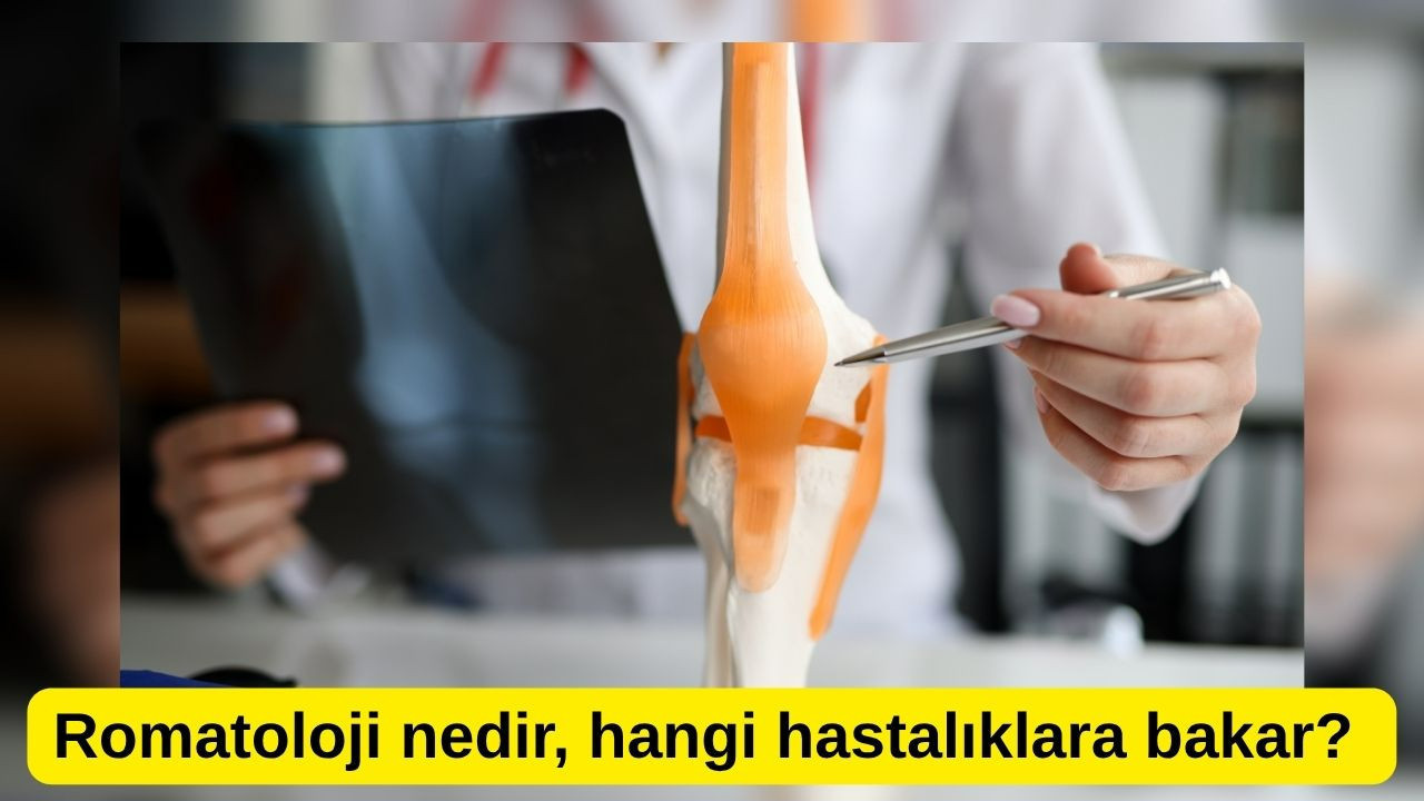 Romatoloji nedir, hangi hastalıklara bakar?
