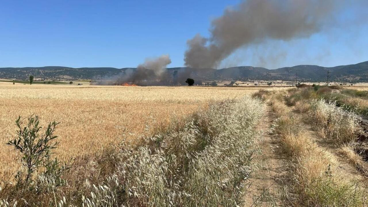 Yozgat’ta 20 dönüm ekili alan cayır cayır yandı