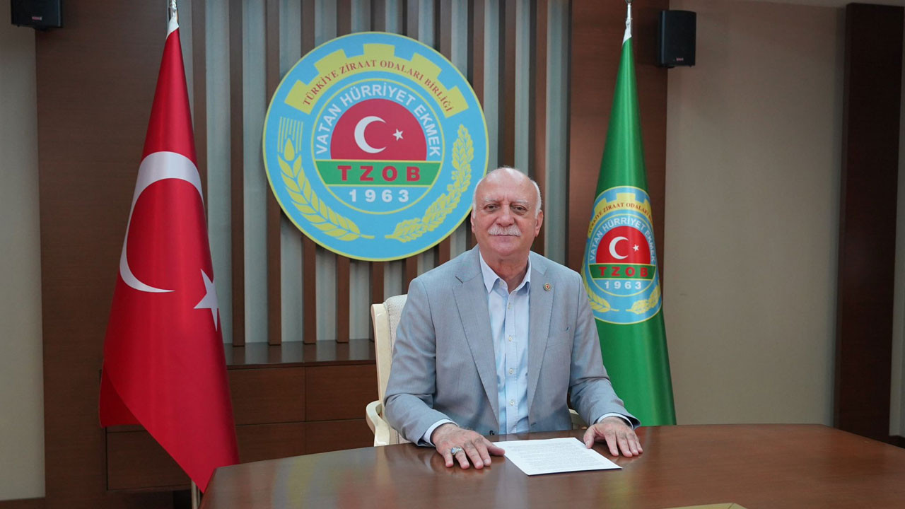 Türkiye’nin tahıl ambarlarında alarm: Verim kaybı yüzde 80’e dayandı