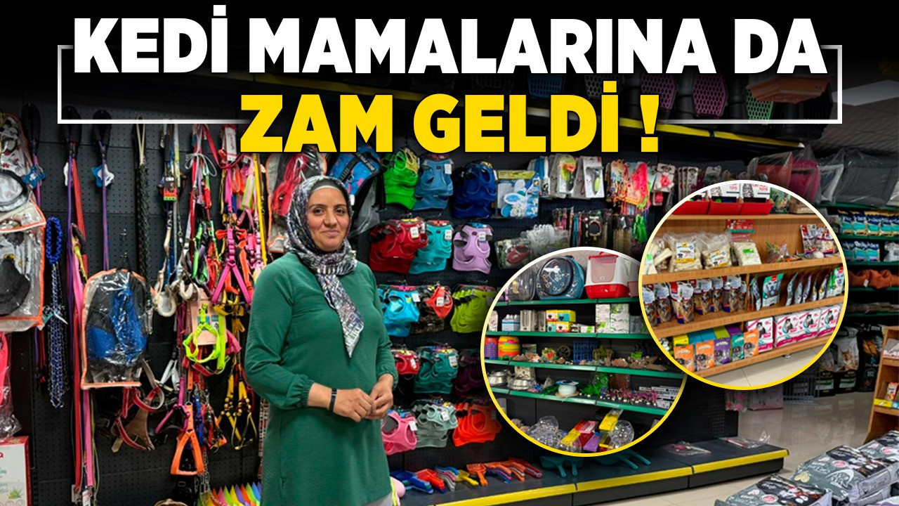 Kedi mamalarına da zam geldi! Eryaman halkı isyan etti