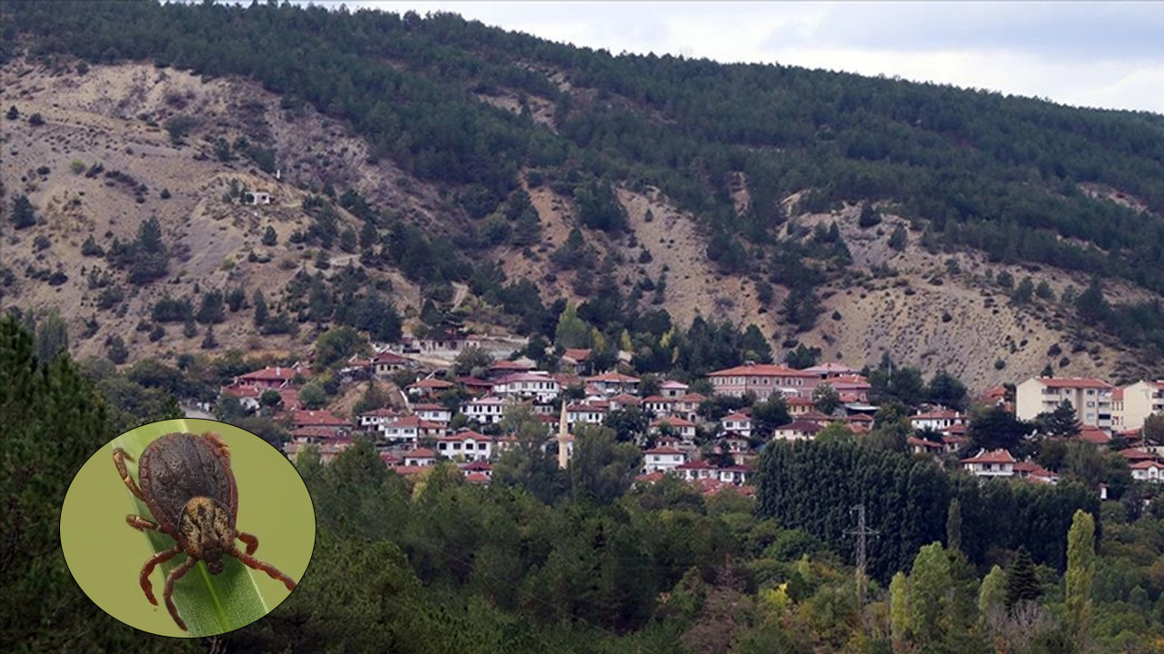 Kene bir can daha aldı! Ankara'ya sevk edilen kadın kurtulamadı