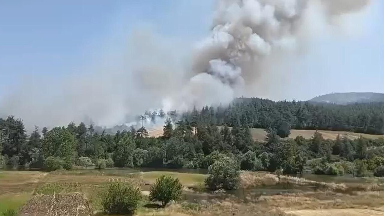Keçiören’de orman yangını çıktı! Alevler yükseliyor!