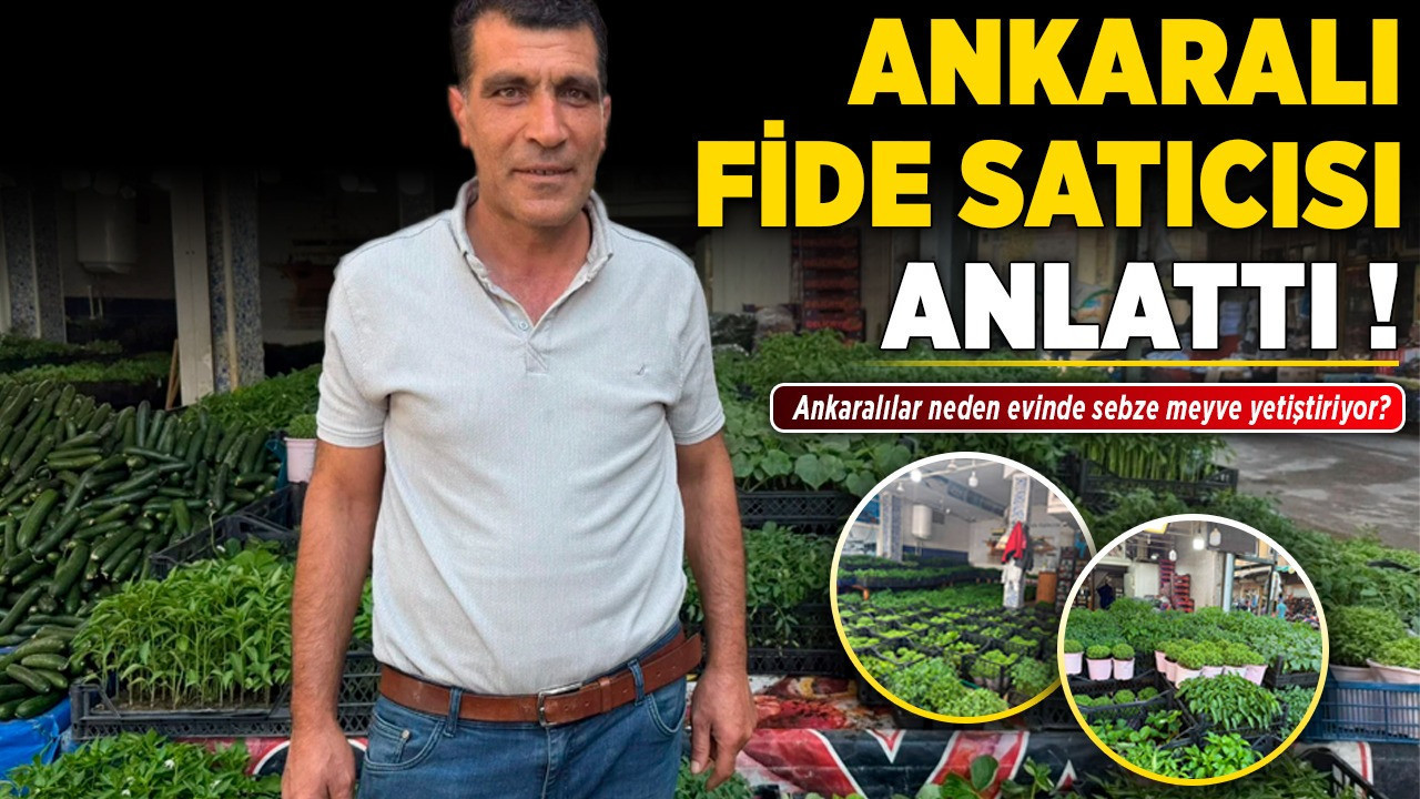 Ankaralı fide satıcısı anlattı! Ankaralılar neden evinde sebze meyve yetiştiriyor?