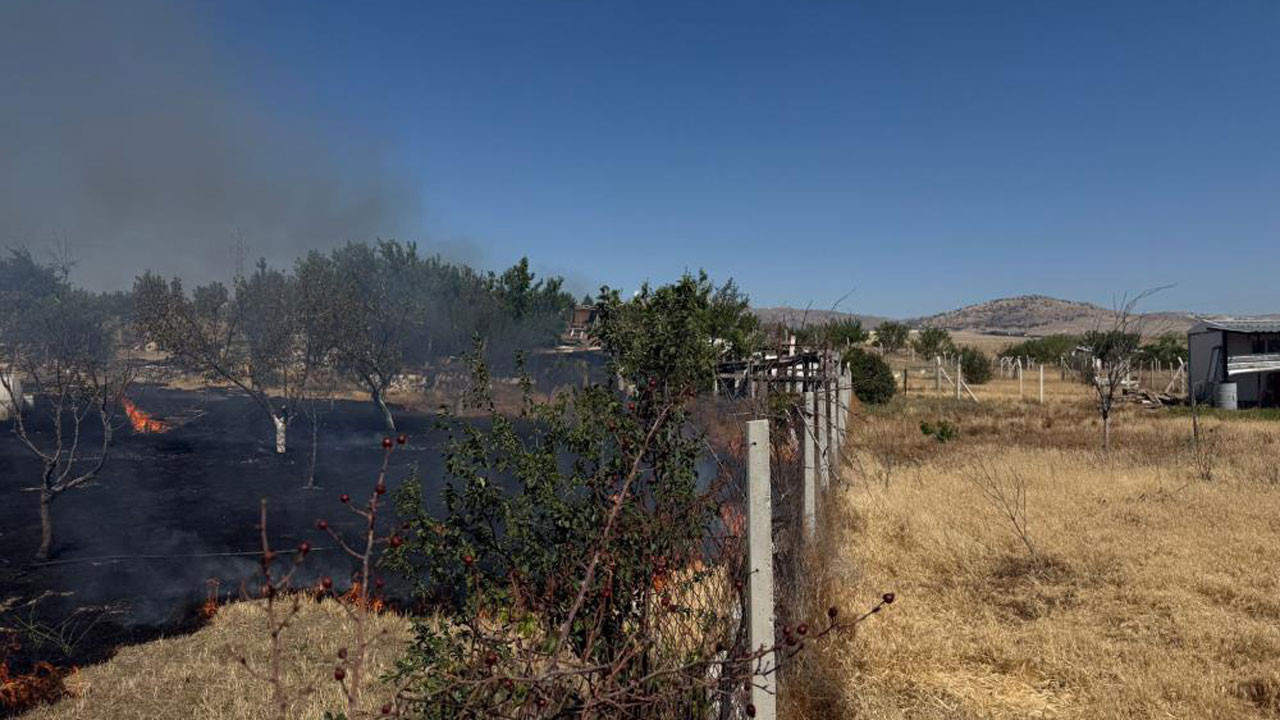 Ankara Sincan’da ot yangını panik yarattı: İki hobi bahçesi kül oldu