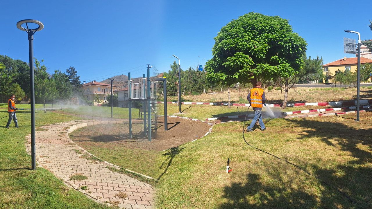 Şereflikoçhisar'da kenelere geçit yok!