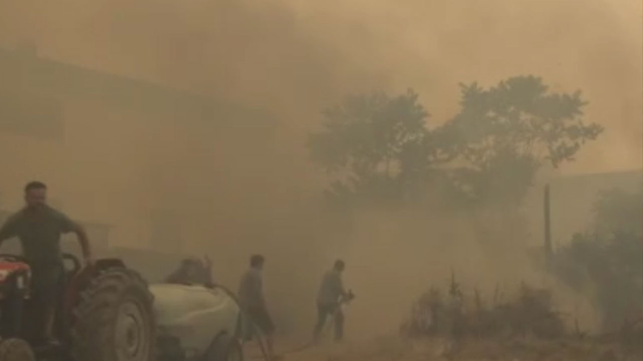 Ankara-İstanbul otoyolu yakınında korkutan yangın! Alevler Bursa’daki köy evlerine sıçradı