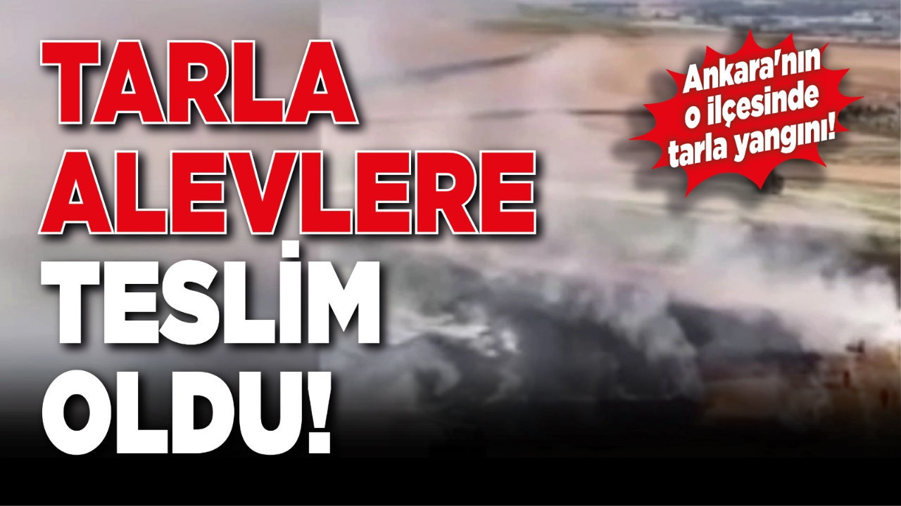 Ankara'nın o ilçesinde tarla yangını! Tarla alevlere teslim oldu!