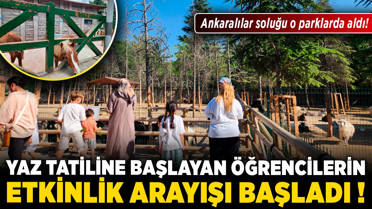 Yaz tatiline başlayan öğrencilerin etkinlik arayışı başladı! Ankaralılar soluğu o parklarda aldı!
