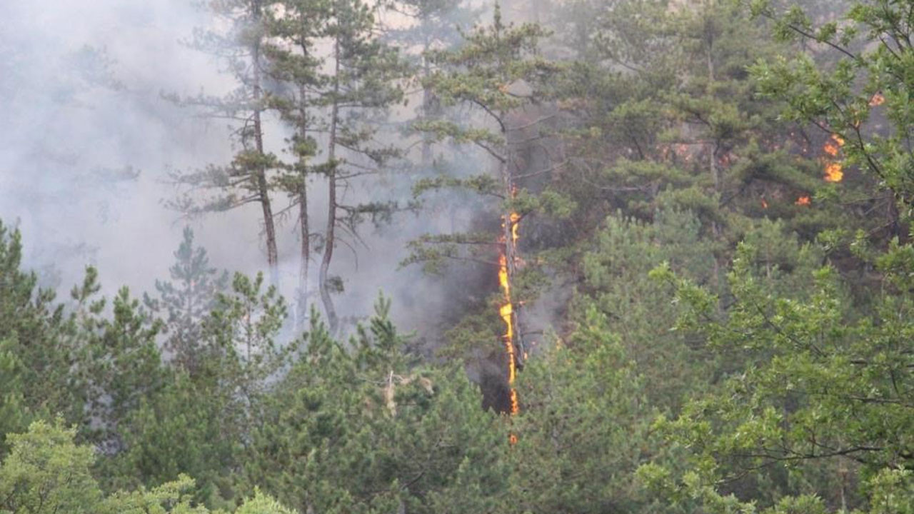 Bolu'daki orman yangını kontrol altına alınamadı! 136 personel ve 9 helikopterle müdahale sürüyor
