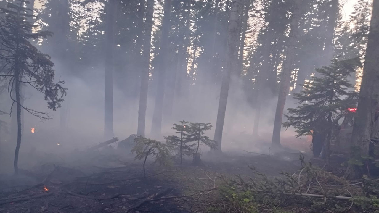 ASKİ’den yangına tanker desteği: Çamlıdere’deki orman yangını kontrol altına alındı