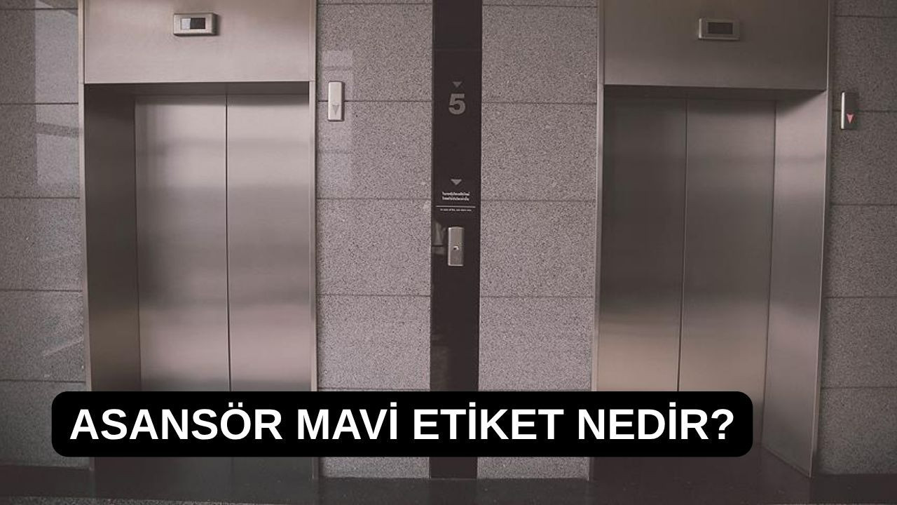 Asansör mavi etiket nedir?