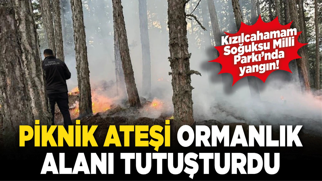 Kızılcahamam Soğuksu Milli Parkı’nda yangın! Piknik ateşi ormanlık alanı tutuşturdu