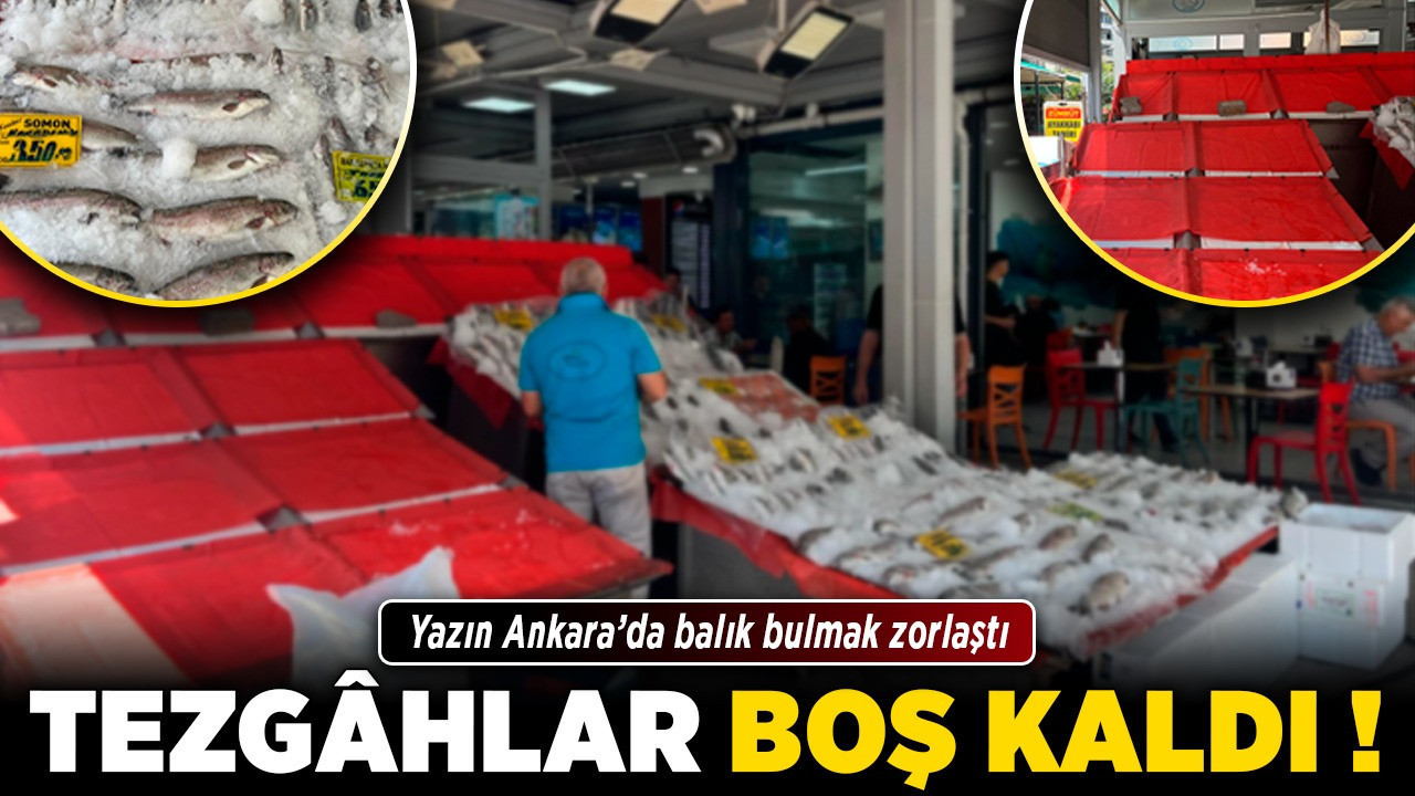Tezgâhlar boş kaldı! Yazın Ankara’da balık bulmak zorlaştı