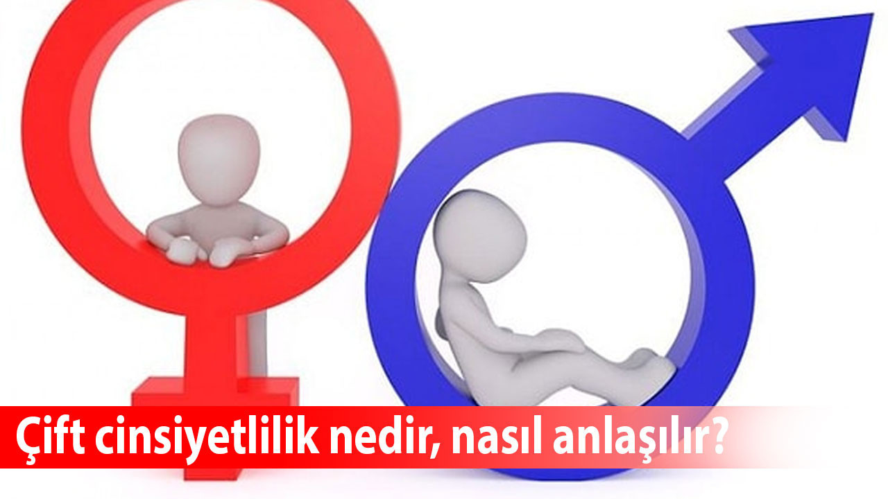 Çift cinsiyetlilik nedir, nasıl anlaşılır, Çift cinsiyetli birinin çocuğu olur mu?
