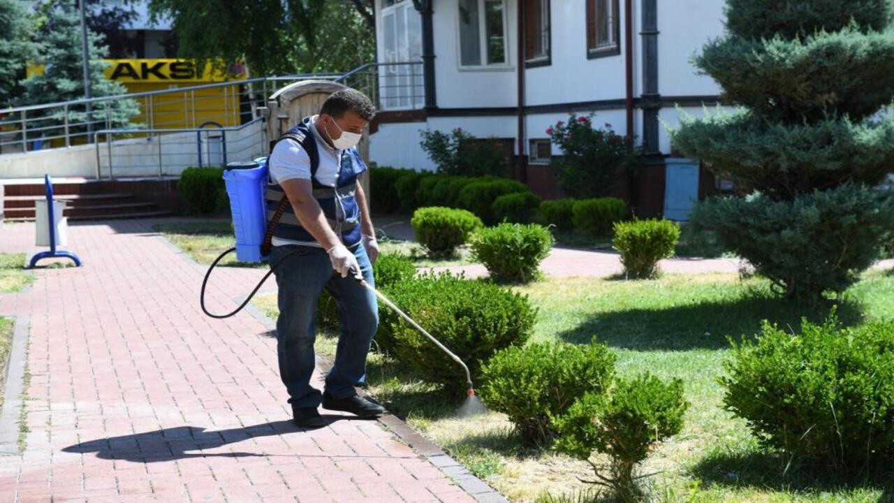 Kahramankazan’da hummalı haşere operasyonu