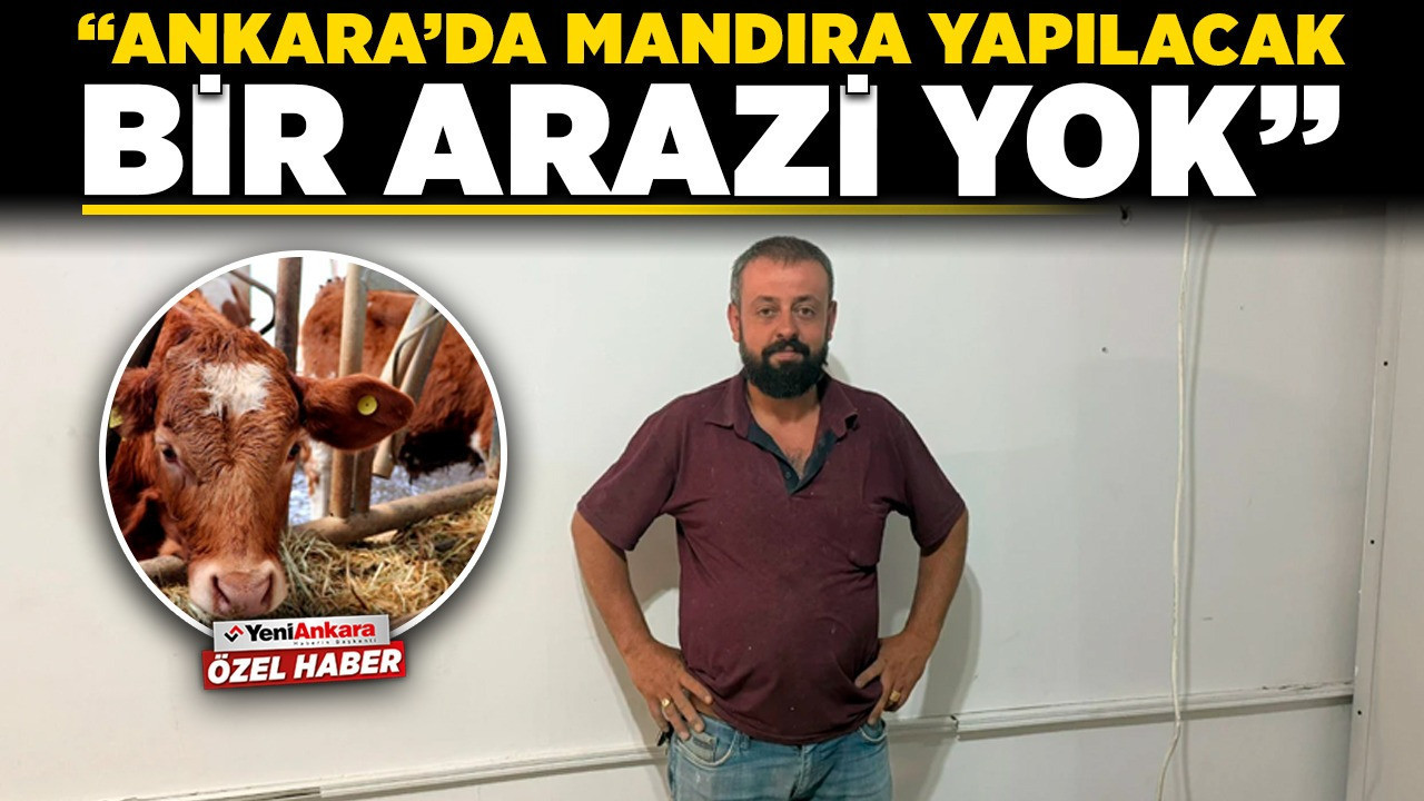 Uzmanından çarpıcı açıklama! “Ankara’da mandıra yapılacak bir arazi yok”