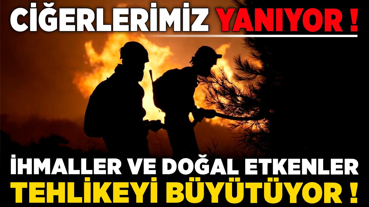 Ciğerlerimiz yanıyor! İhmaller ve doğal etkenler tehlikeyi büyütüyor!