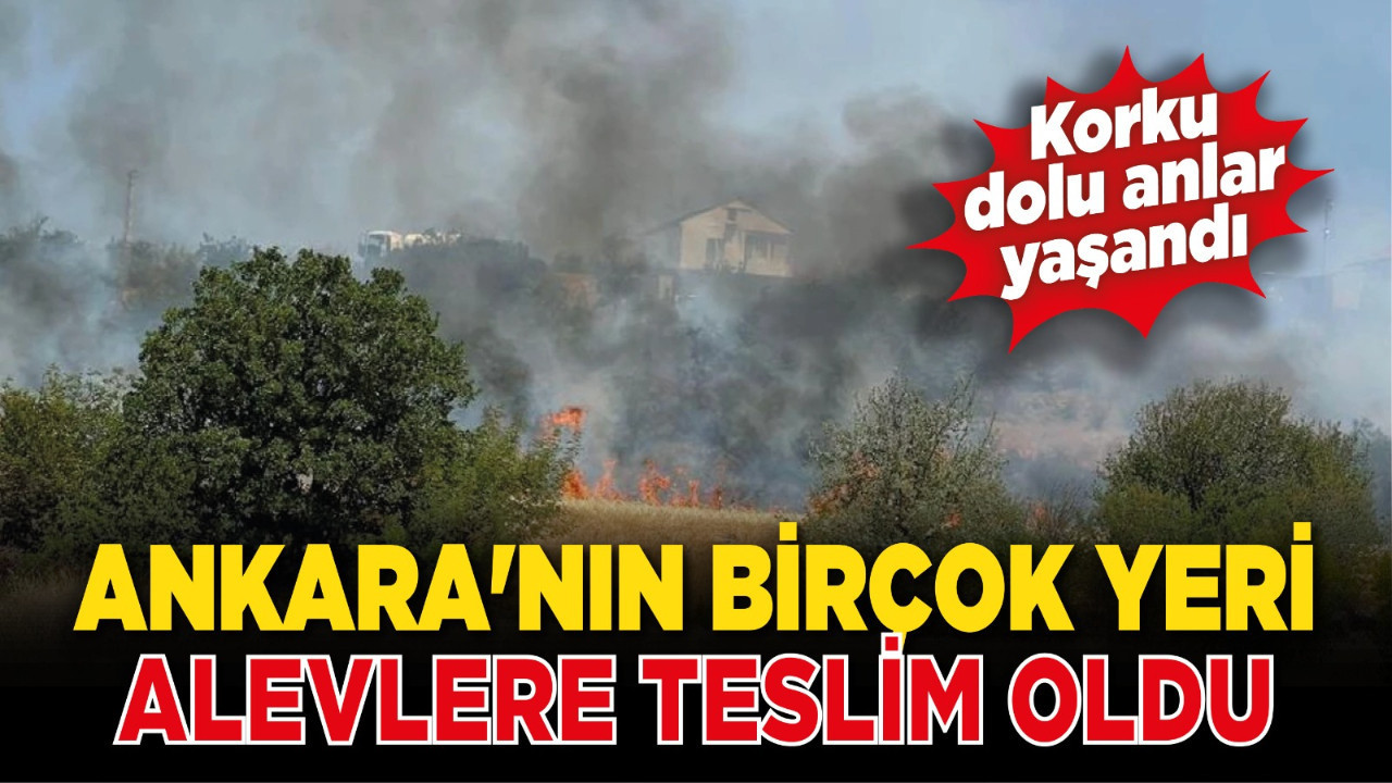 Ankara'nın birçok yeri alevlere teslim oldu!