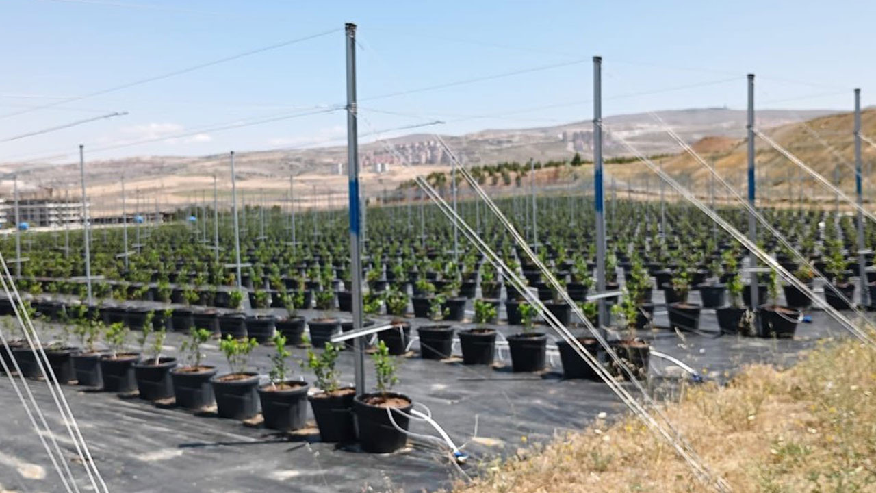 Ankara Mamak'ta üretime taze bir soluk