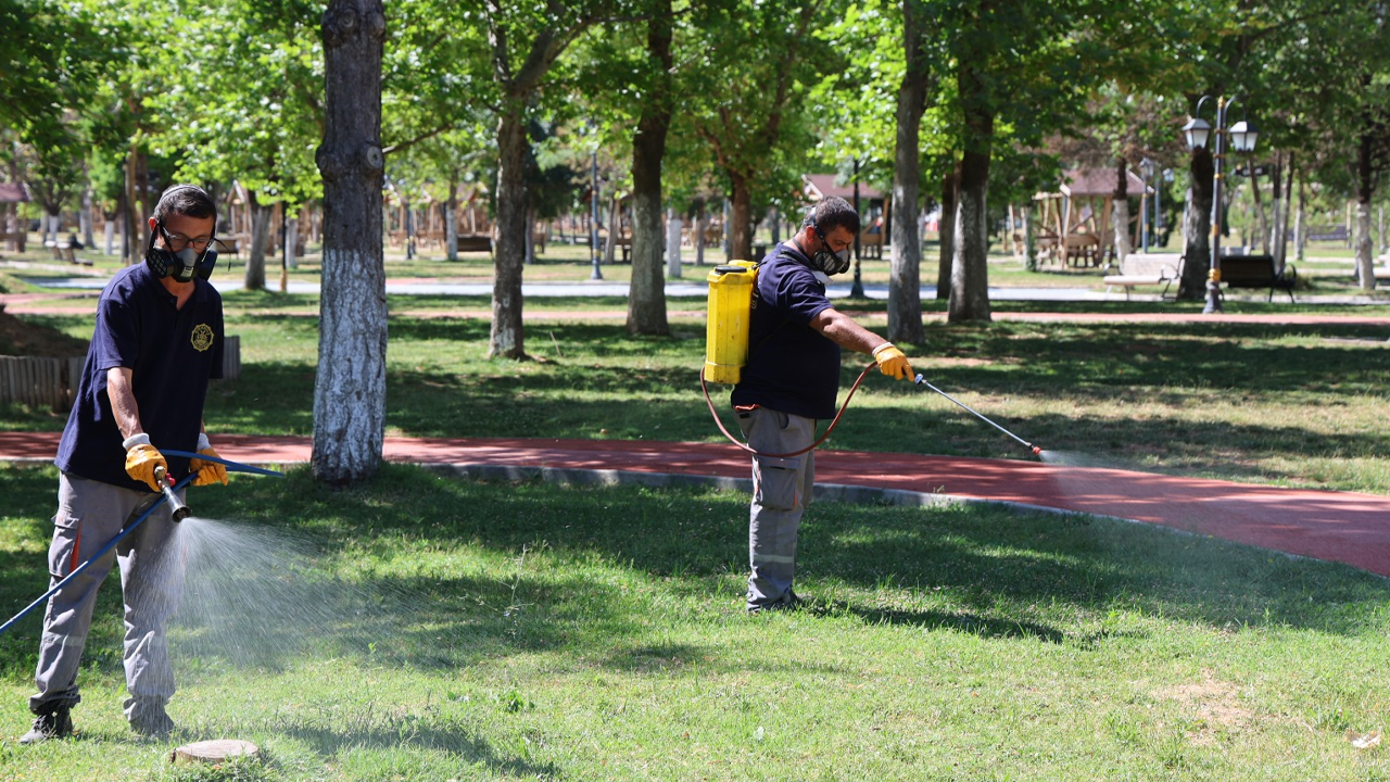 Kırıkkale Belediyesinin haşerelerle mücadelesi devam ediyor