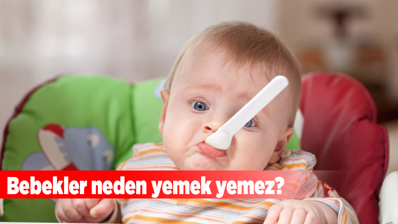 Bebekler neden yemek yemez?